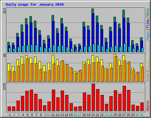 Daily usage for January 2010