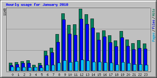 Hourly usage for January 2010